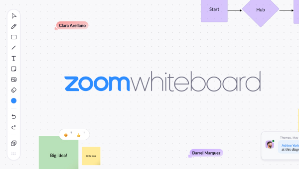 Screenshot of Zoom Whiteboard